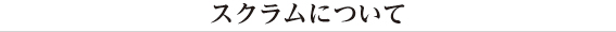 スクラムについて